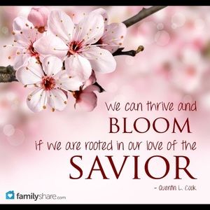 Meet your Posher, Sherry